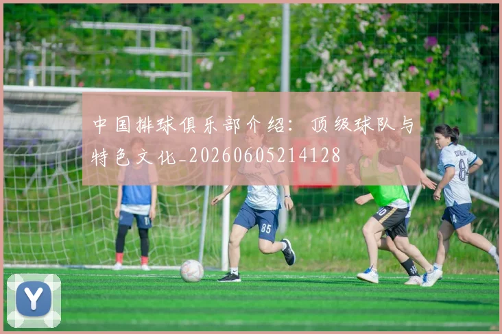 中国排球俱乐部介绍:顶级球队与特色文化_20260605214128