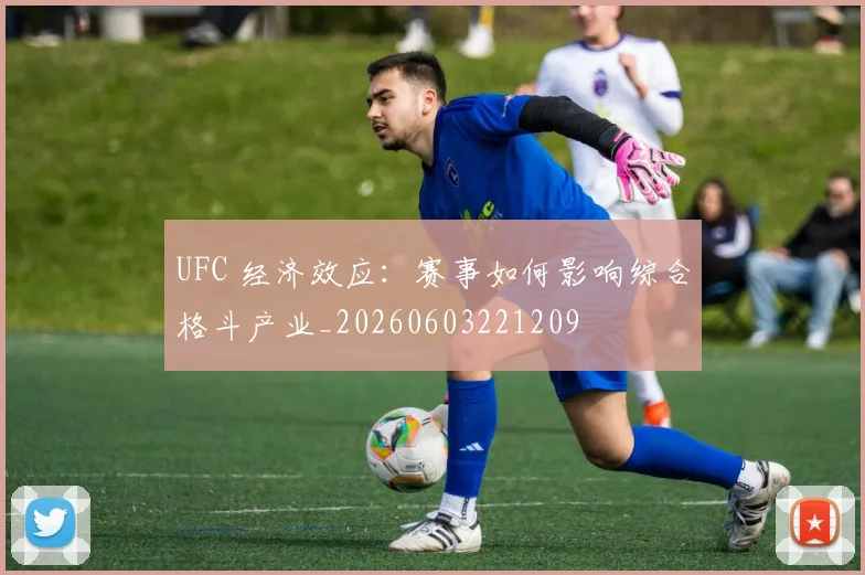UFC 经济效应：赛事如何影响综合格斗产业_20260603221209