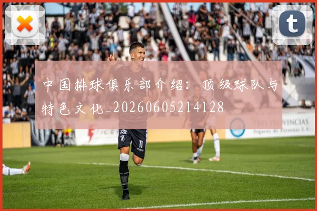 中国排球俱乐部介绍：顶级球队与特色文化_20260605214128
