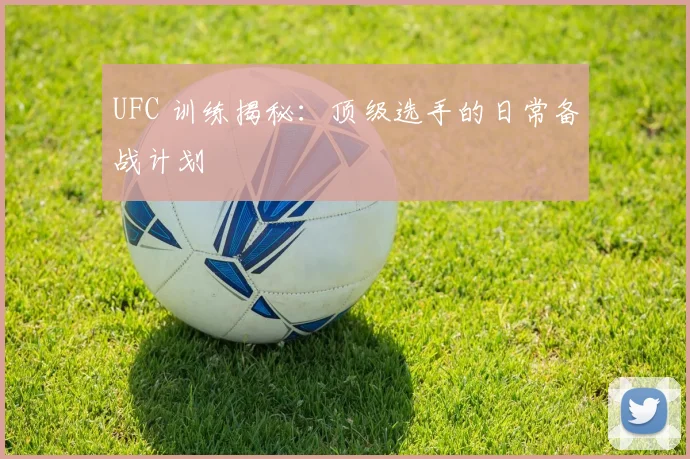 UFC 训练揭秘：顶级选手的日常备战计划